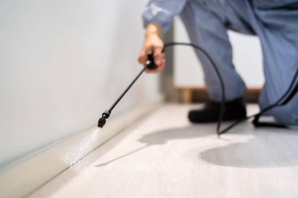 Bed Bug Pre-Treatment Preparation Assessment in Aspinwall