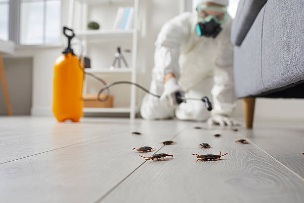 Post-Treatment Bed Bug Interceptor Monitoring in Aspinwall